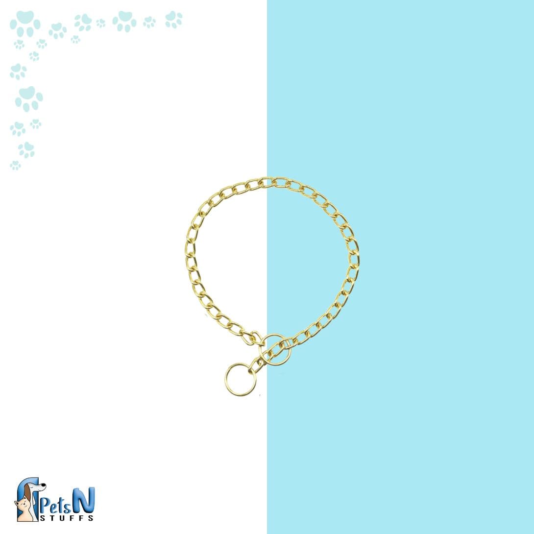 Dog Gold Chocker