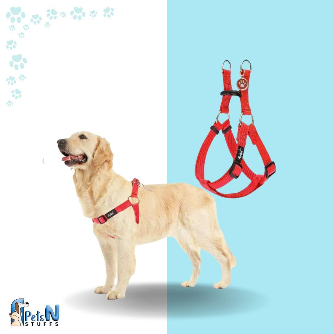 Cema Dog Harness with Leash