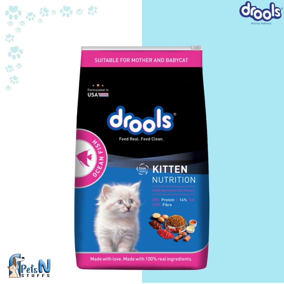 Drools Kitten Cat Dry Food