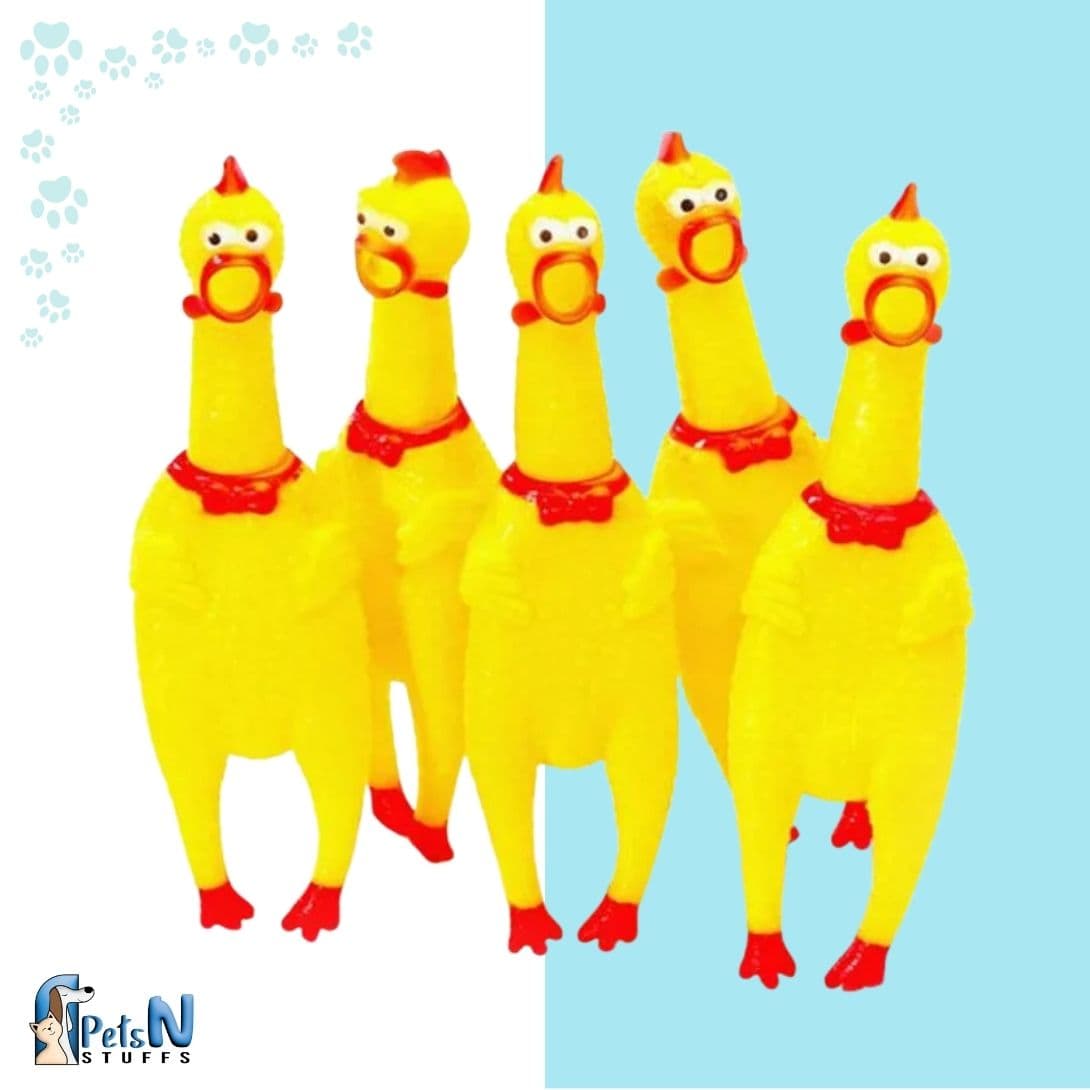 Full Chicken Squeeze Toy for Dogs